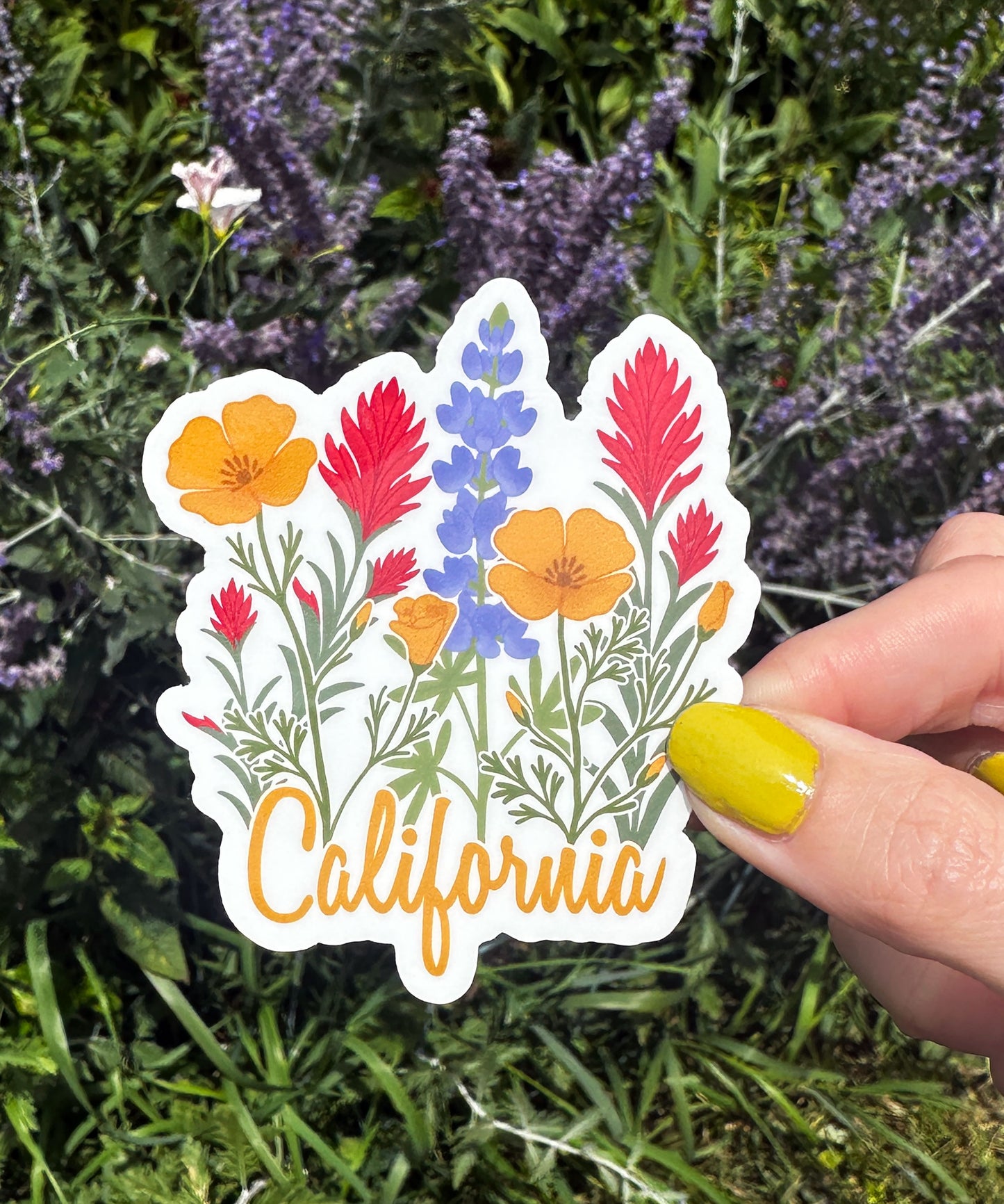 California State Wildflower Vinyl Sticker