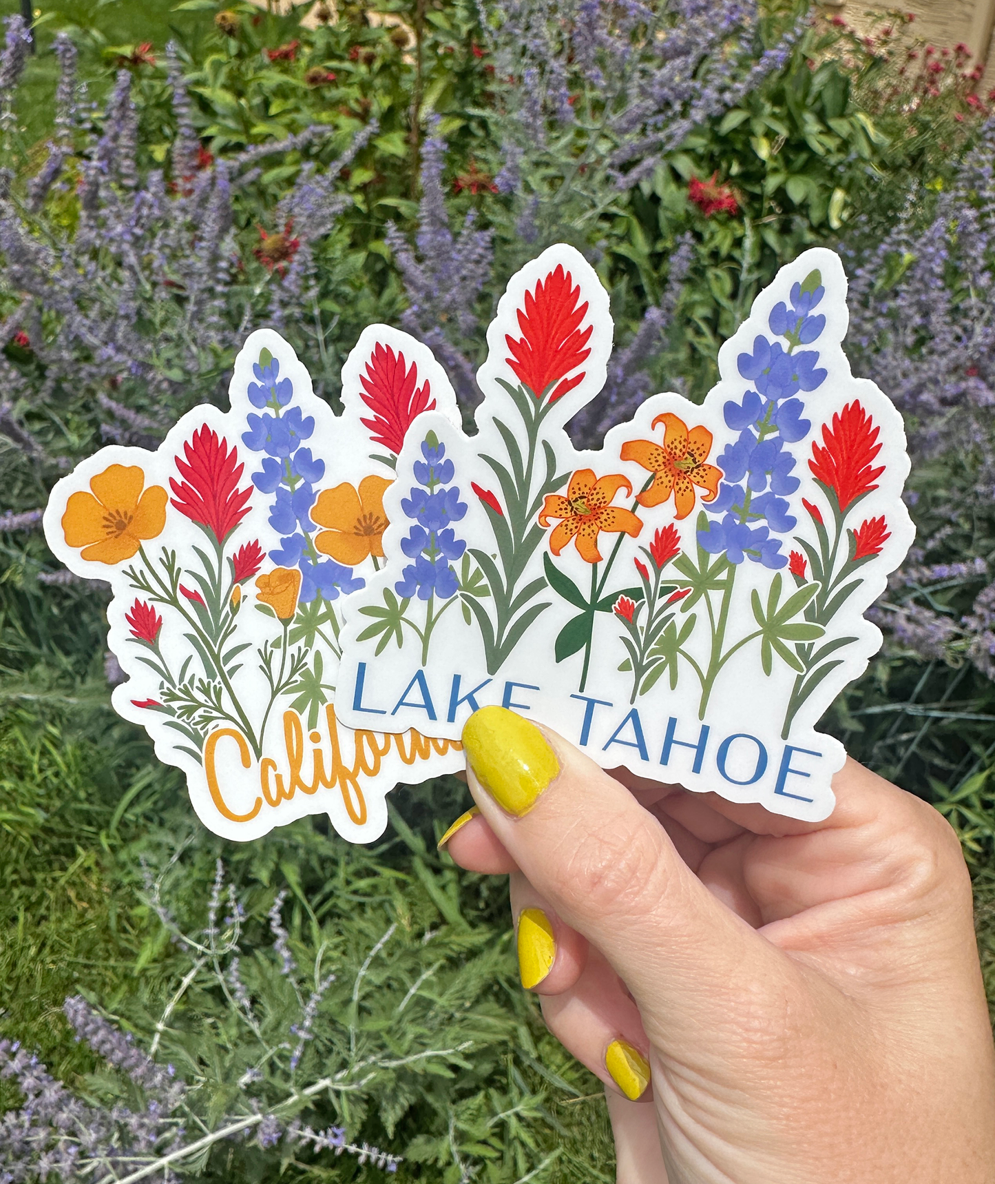 California State Wildflower Vinyl Sticker