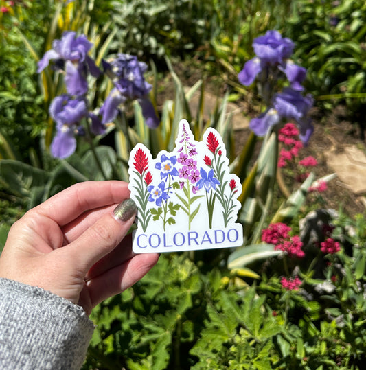 Colorado Wildflower Vinyl Sticker