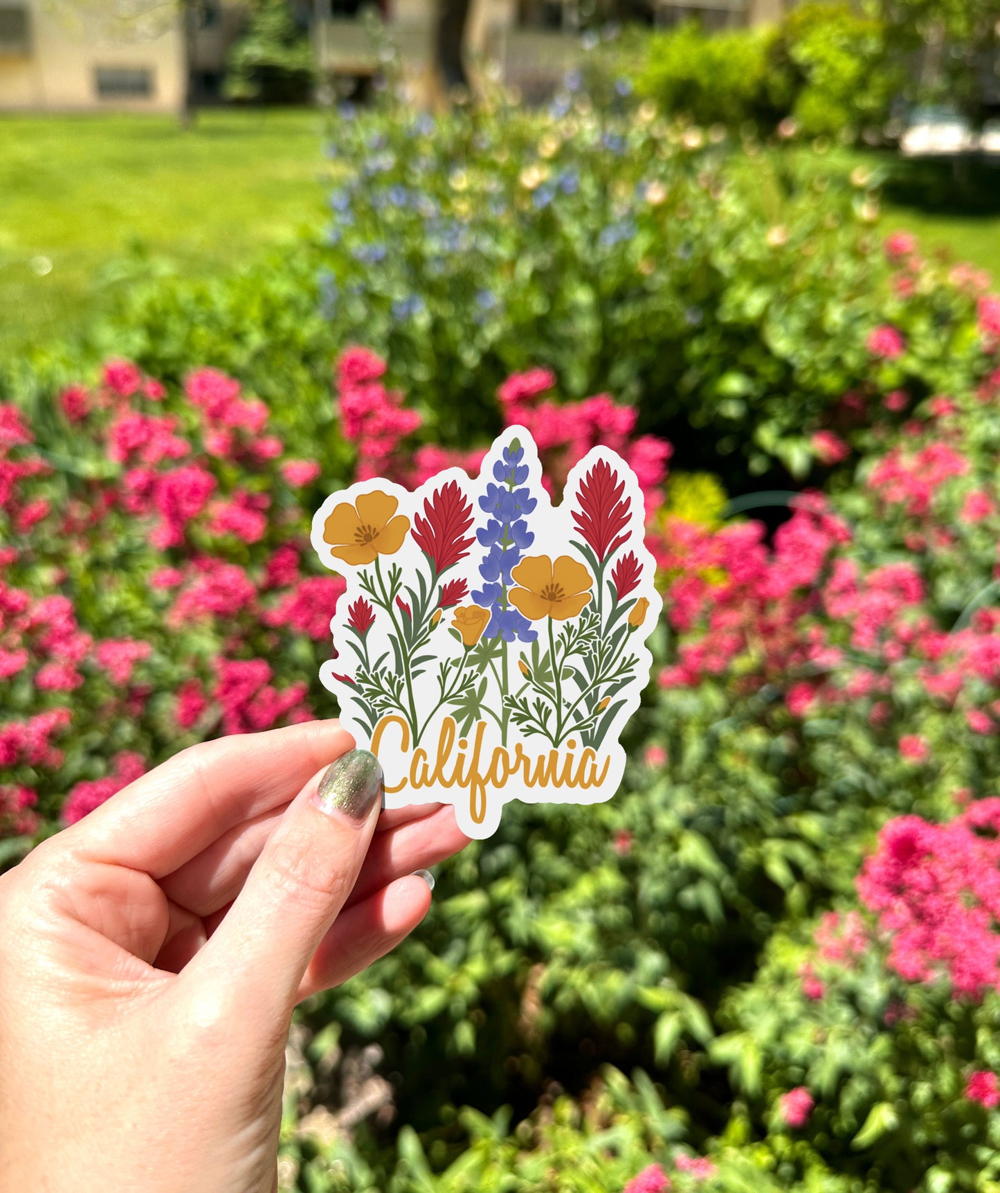 California State Wildflower Vinyl Sticker