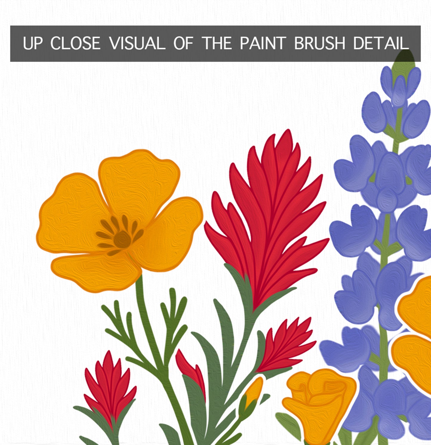 California Wildflower Poster